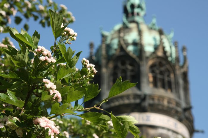 Schlosskirchenturm 7 ©WittenbergKultur e.V.,Tourist-Information Lutherstadt Wittenberg.jpg