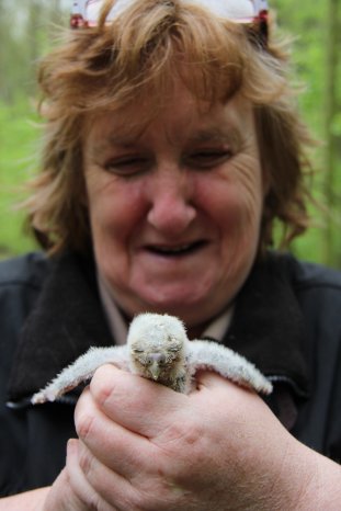 Wildpark-MV_Tierpflegerin Petra Koppe mit Steinkauz-Nachwuchs.JPG