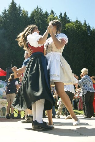Tanzlmusigfest Wildschönau 2011 (5).jpg