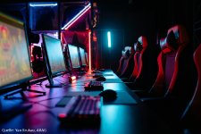 Profi-Gaming: E-Sportler unter Vertrag
