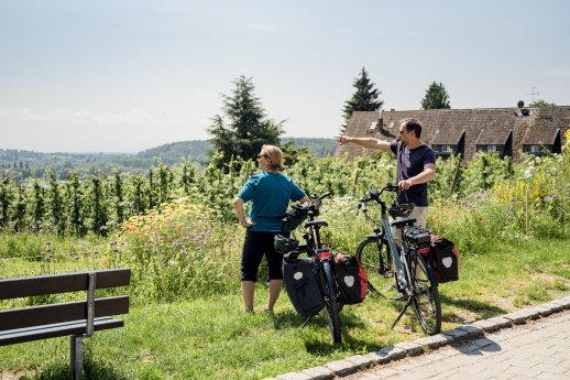 Konstanz-Litzelstetten-Weinberg-Bluete-Fahrrad-Paar-02_Copyright_MTK-Marion-Baumeister.jpg