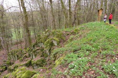 Der Alteburgskopf – eine beeindruckende Felsformation oberhalb von Schotten (Foto: Susanne Jost)