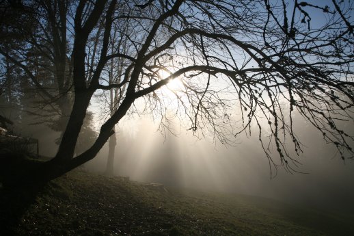 ID_3895_Schwarzwald Landschaft Stimmung Nebel Sonne Eberle _4_.JPG