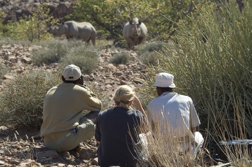 Wilderness Safaris_viewing black rhinos_(C)Dana Allen.jpg