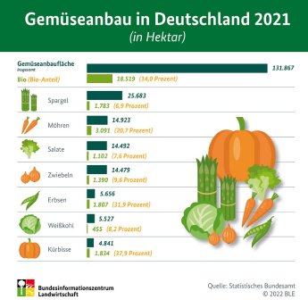 Infografik_Gemüseanbau_2021.jpg