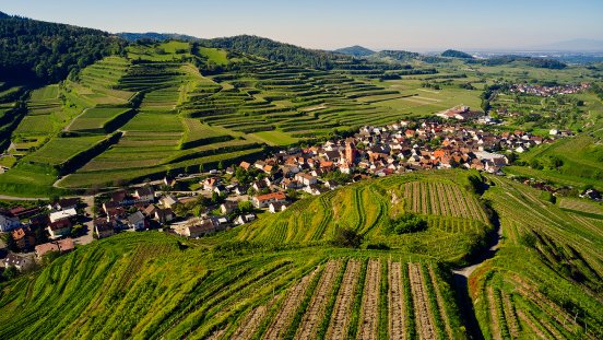 DJI_0110.jpg