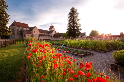 Insel-Reichenau-Kraeutergarten-Mohn_Copyright_Helmuth-Scham.jpg