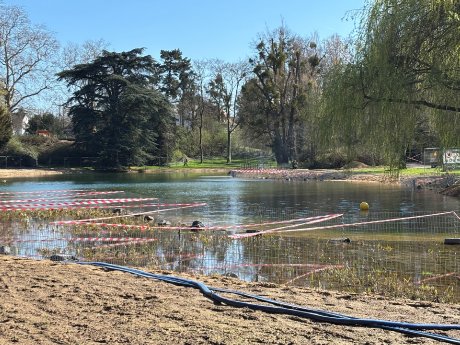 StEB Köln_Klettenbergparkweiher.jpg