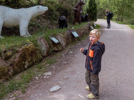 web Schwarzwaldgravel mit Kind © Schwarzwald Tourismus (10 von 33)-1875x1406.jpg