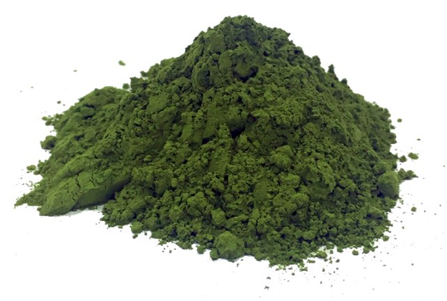Algae Biomass Powder_Bildrechte_BLOOM.png