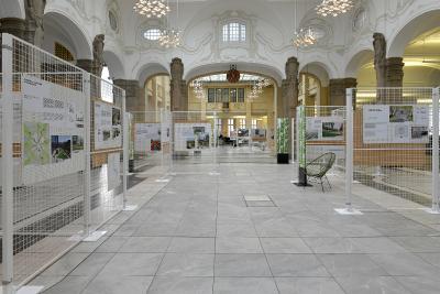 Rundgang durch die Ausstellung am Brill