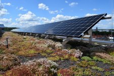Auf dem Minibiotop des begrünten Daches kann auch die Sonnenkraft zur Energiegewinnung genutzt werden.