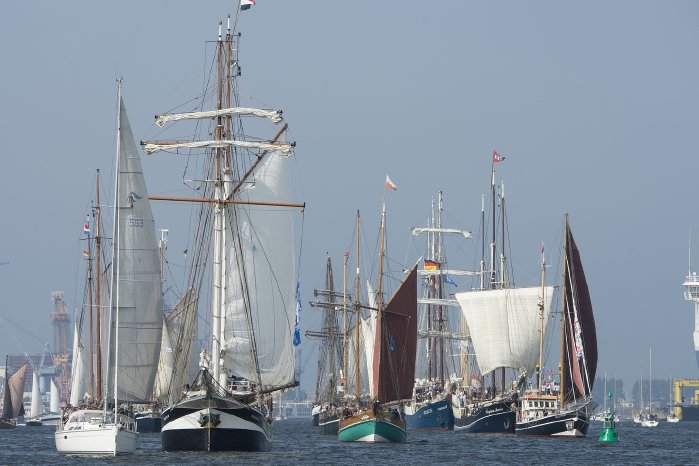 PM_hansesail_Viel Verkehr auf dem_ Wasser.jpg