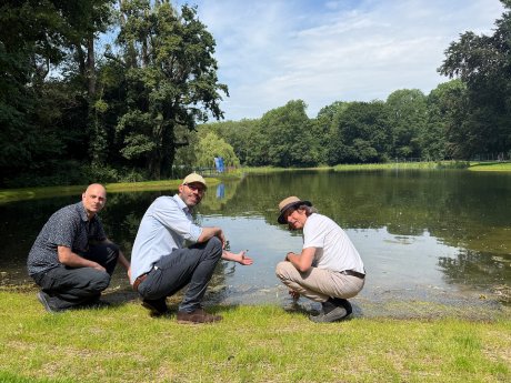 260623_Klettenbergparkweiher.jpg