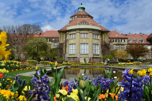 Frühling im Botanischen Garten München-Nymphenburg.jpg