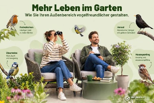 vergleich-org-gartenvoegel-2026-pm.jpg
