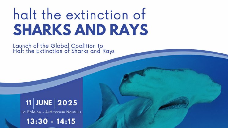 coaltion-haltsharkrayextinction-org-75-800x450px.jpg