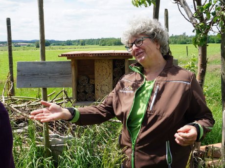 PM BoSti Blühbotschafter Landwirtschaft Bienenhotel_Anja Wischer.JPG
