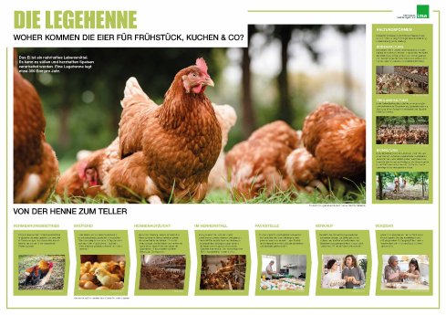 pm_poster_legehenne_250703.jpg