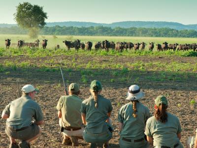 Safari-Guide Ausbildung mit Travel-and-Personality