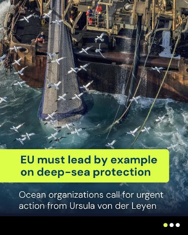 Meeresschützer fordern besseren Schutz für EU-Tiefseelebensräume (VMEs).jpg