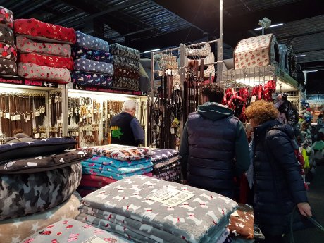 hundundkatze Kalkar 2.jpg