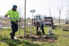Große Pflanzaktion in der Nordsee-Region