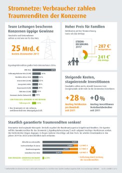 LichtBlick_Infografik_Kosten_Stromnetze.jpg