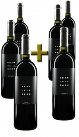 xanthurus - Edel, die 6 Flaschen des 2008er Brancaia Ilatraia Rosso..jpg