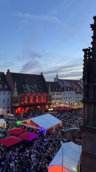 Freiburger Weinfest 2024 (1) (c) FWTM Schwermer.jpeg
