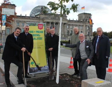 (v. l.) Prof. Dr. Carsten Perka, Prof. Dr. Paul A. Grützner, Klaus Wichert, Dr. Thomas Möller, Prof. Dr. Dietmar Pennig, Matthias Bauche und Prof. Dr. Bernd Kladny pflanzten anlässlich des DKOU zehn neue Bäume in Berlin. Foto: S. Herda / DGOU