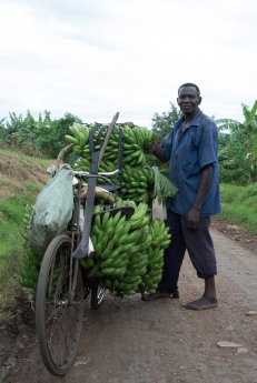 Bananentransport_Karawane_TanjaFaigle.jpg