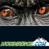 Mondberge.com.jpg