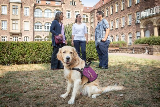 220819_Pressetermin Besuchshund Hannes_2.jpg