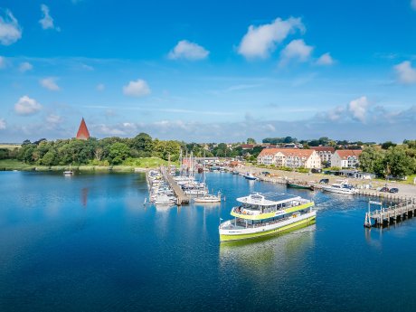 Adler Nature Insel Poel ©FotoArt_MirkoBoy.jpg