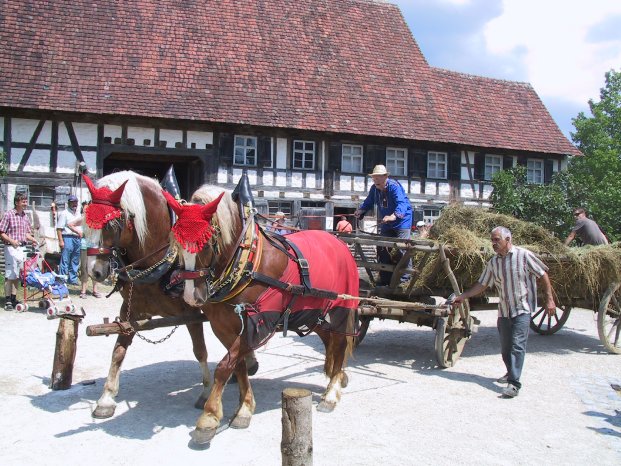 FLM Neuhausen Fuhrmannstag Hindeniisfahren.JPG