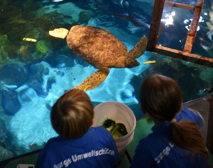 Junge Umweltschützer bei der Schildkrötenfütterung.jpg