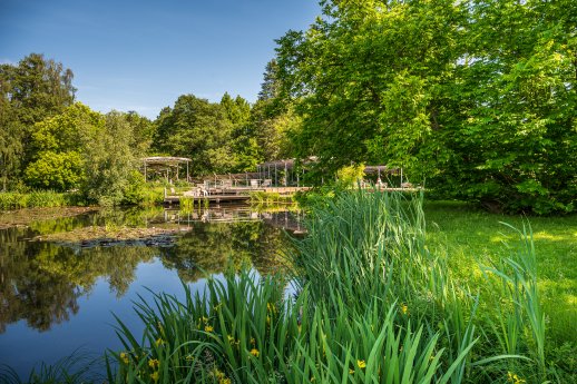 Teich vor der Pergola 1 (c) BBM Markus Tiemann.jpg