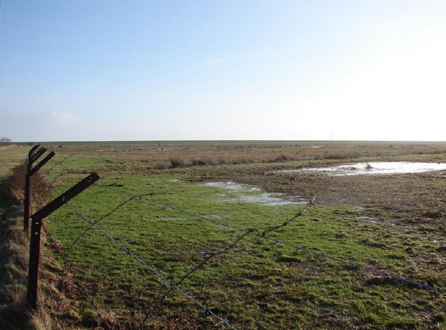 alter Stacheldrahtzaun auf Borkum Foto Nationalparkverwaltung.jpg