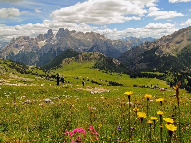 plaetzwiese-pragsertal-hochpustertal.jpg