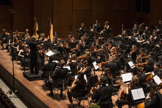 Hanze Symphony Orchestra 2015 (c) Deborah Roffel.jpg