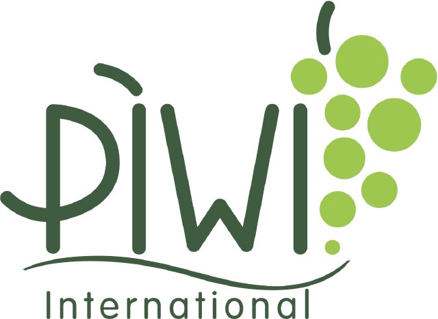 Logo company PIWI.png