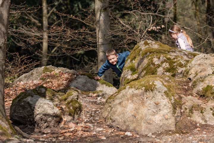 Rätselspaß mit dem kleinen Dachs