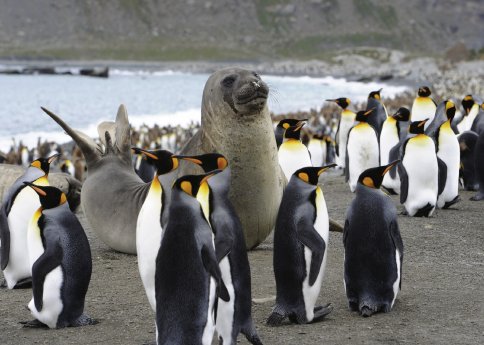 GoldHarbour_Hapag Lloyd Kreuzfahrten.jpg