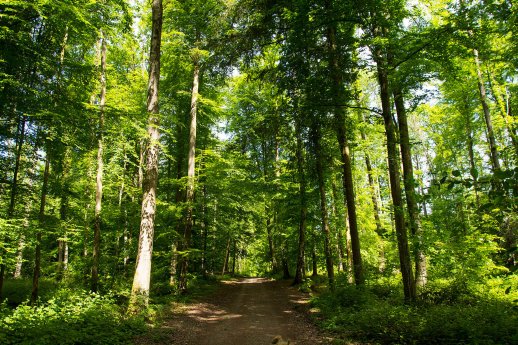 konstanz-lorettowald-03-copyright-spitalstiftung-konstanz-1600x1066.jpg