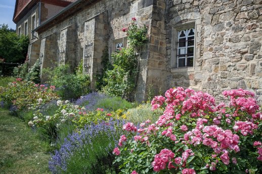 Klostergärten_Michaelstein(c)Gartenträume Sachsen-Anhalt e. V.jpg
