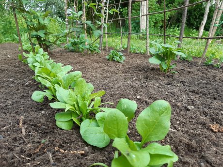 Patzer Erden_hochwertige Erde1.jpg