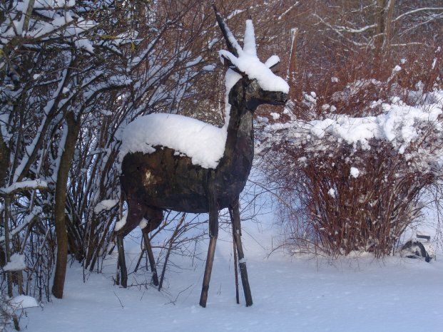 deer in the snow.jpg