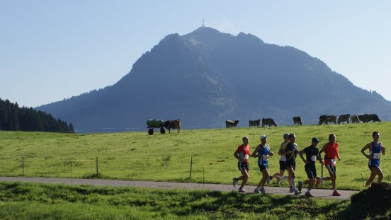 Allgäu Panorama Marathon - am Fuße des Grünten.jpg