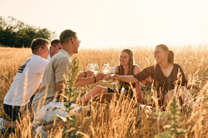Wein_Picknick_Baßgeige.jpg